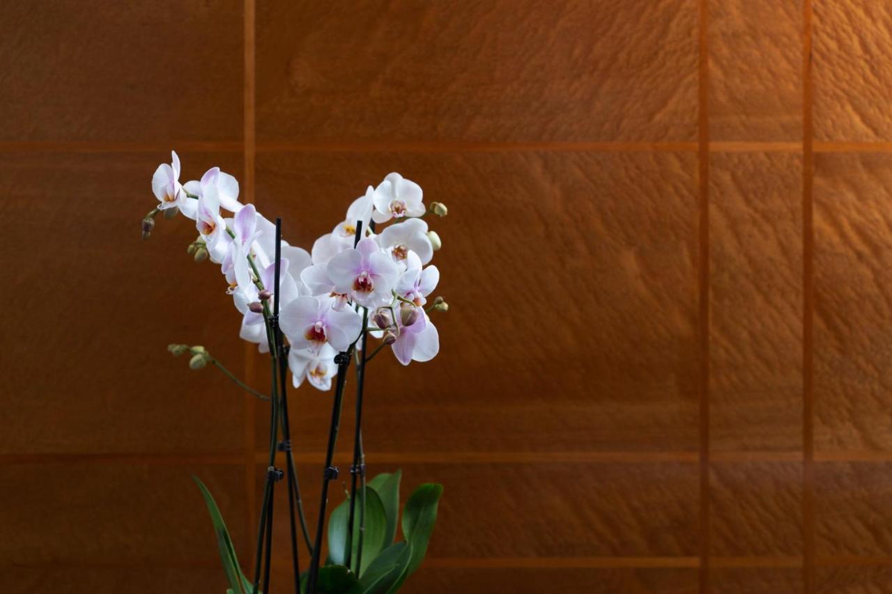 Como The Halkin London Exterior photo